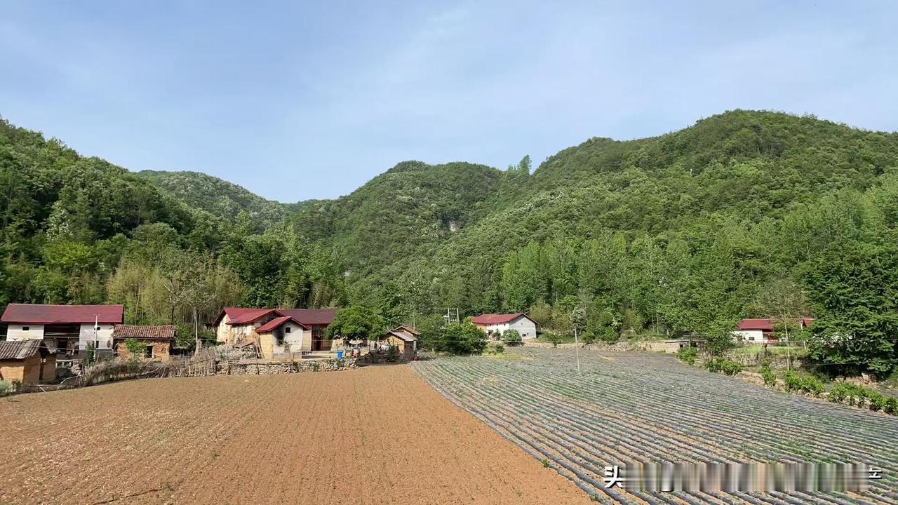 五一你会出去玩吗山里、向下！