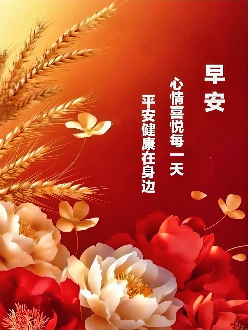 晨光拂面，万事温柔，以温柔迎这调皮小精灵般的清晨，以热爱度平凡美好的日常，早安。