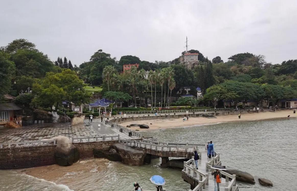 曾经人挤人的鼓浪屿，如今为啥冷清了不少？

鼓浪屿曾经是公认的文艺青年打卡圣地，
