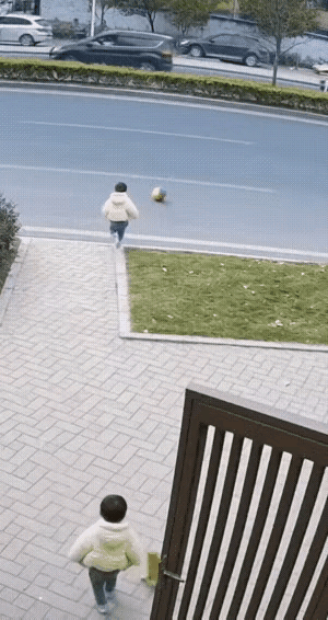 惊险！幼童冲向快车道，猫咪闪电出击救下一命
 
公路上突发惊魂一幕！两名幼童险些