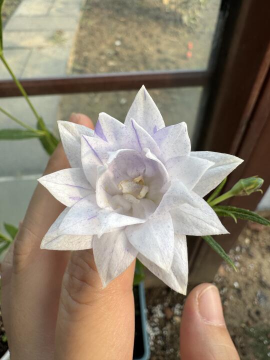 炎热夏日里的小确幸