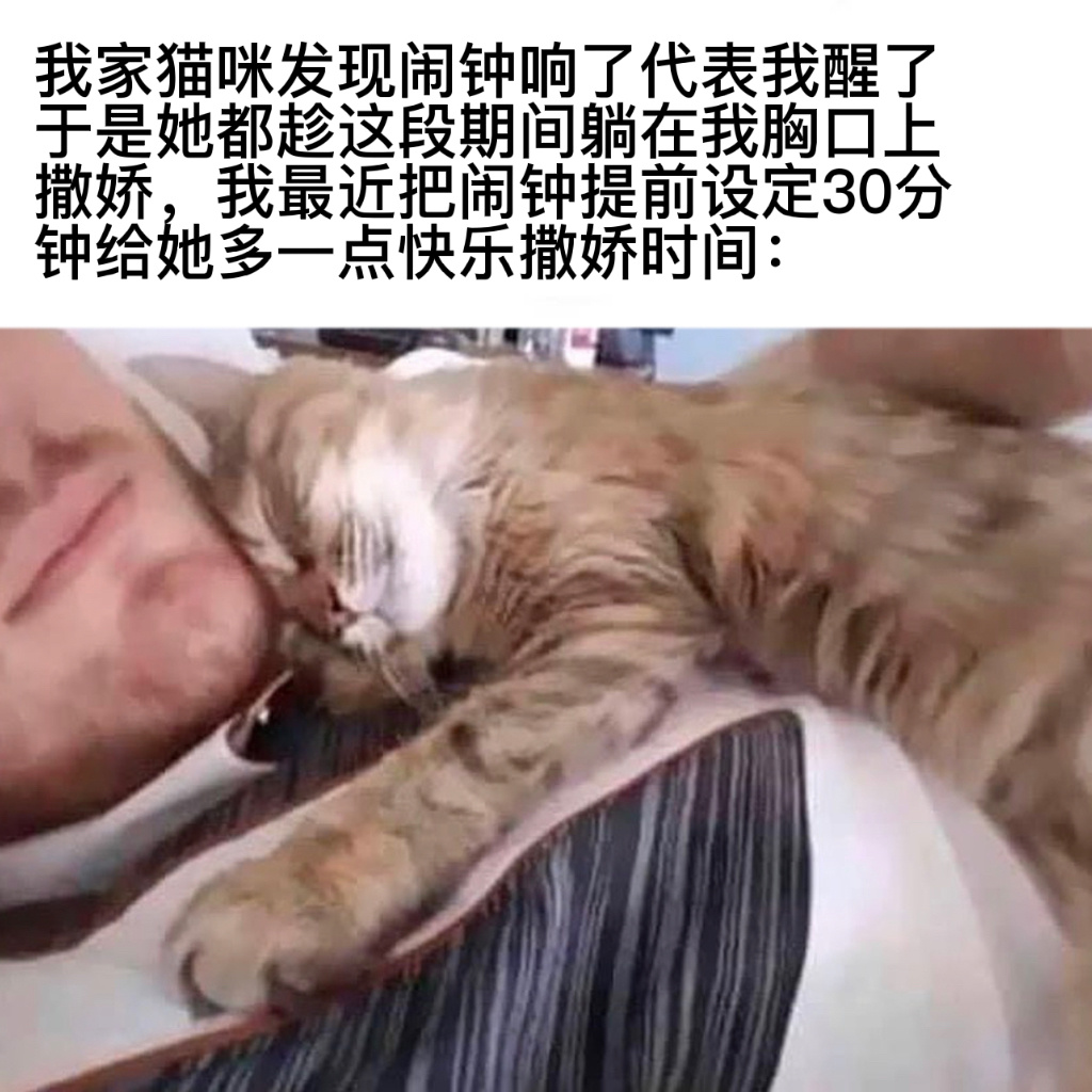 这就是我迟到的原因#今日memes# //#新年快乐漫游指南# ​​​