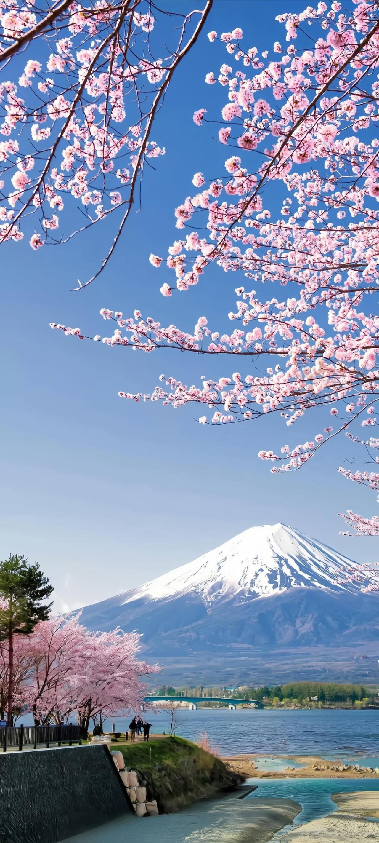 有没有和我一样，父亲总把“没钱”挂在嘴边，却不愿找份正经工作。平日里不是躺着消磨