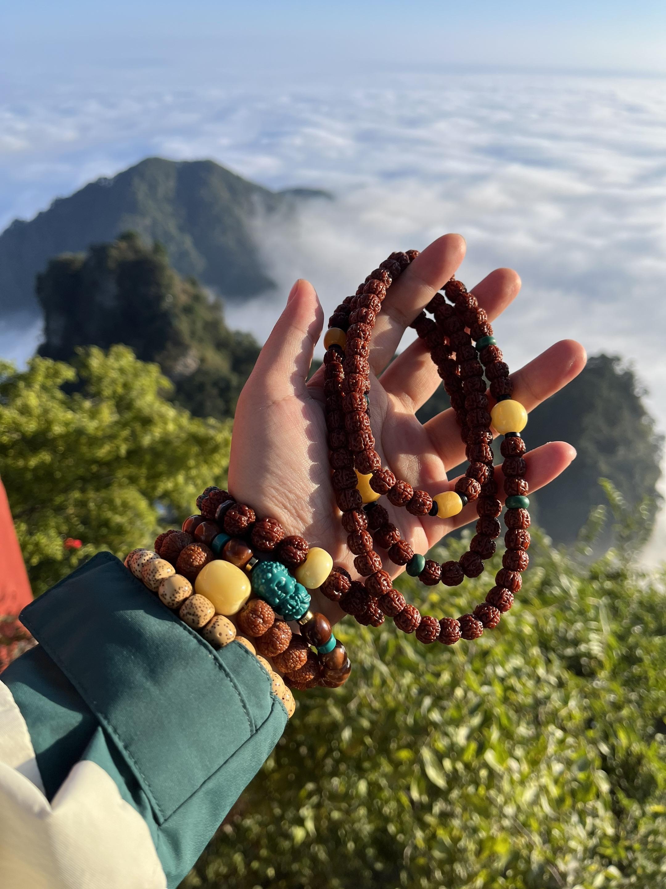 各自生长，相互滋养，彼此守望。