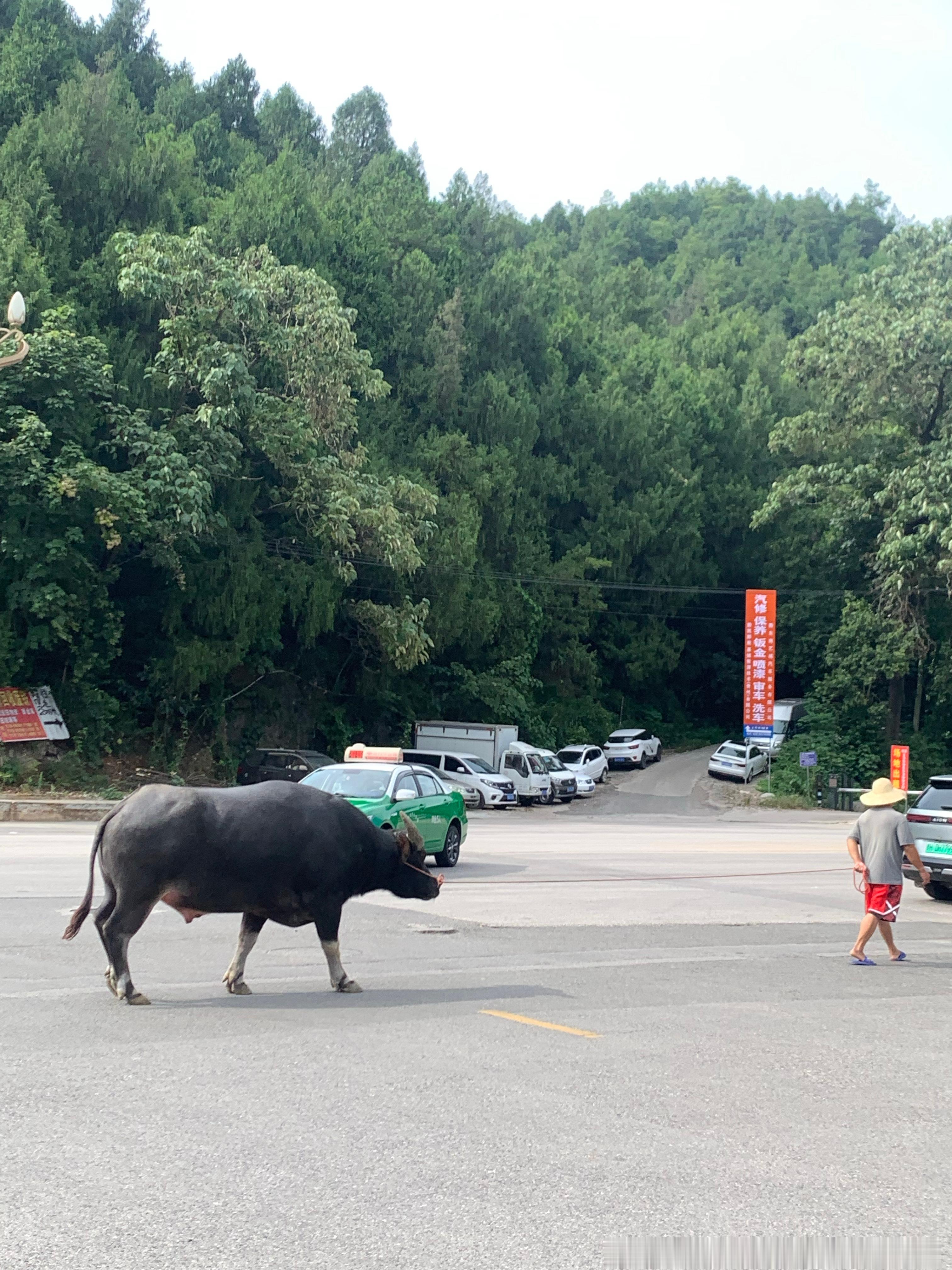 谢谢你们爱我☺️！ 