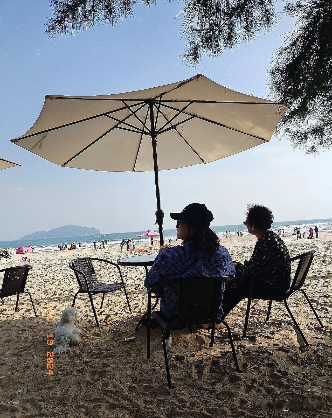 海边浪涛沙。