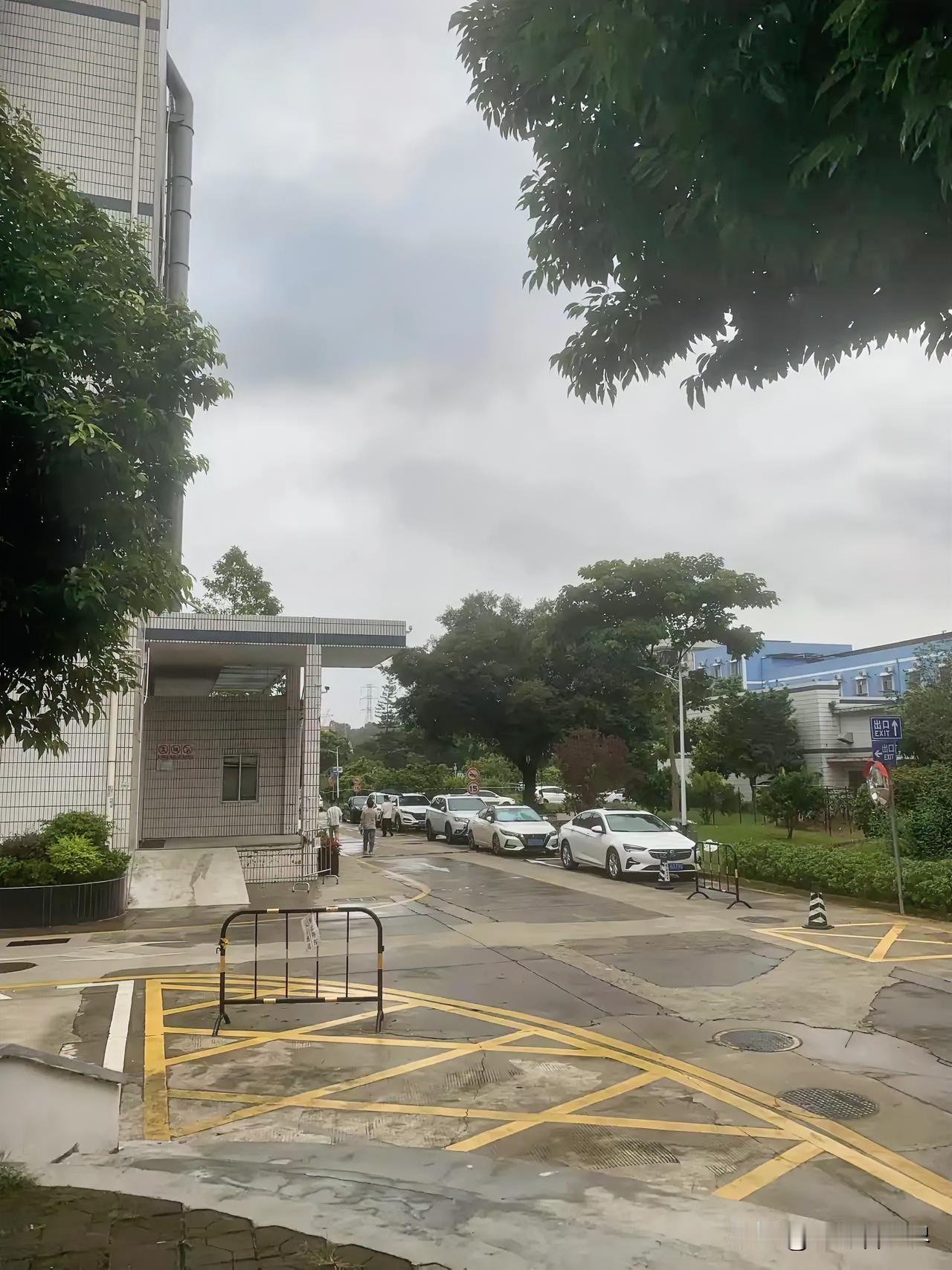 提前通知一下，
大家好有个心理准备。
今天8月20号，就正式进入末伏第七天了，而