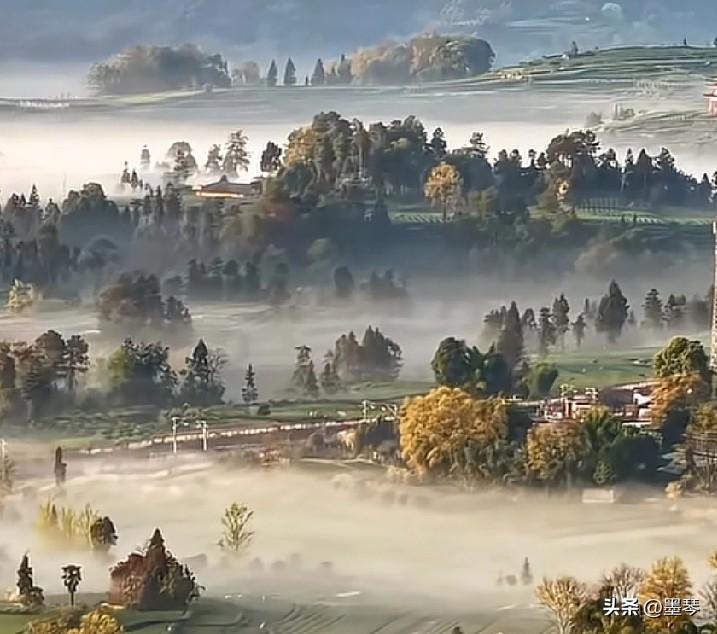 ​

​

 
 


人生路上，既要守住内心的善良，也要懂得适时收起；既要融入