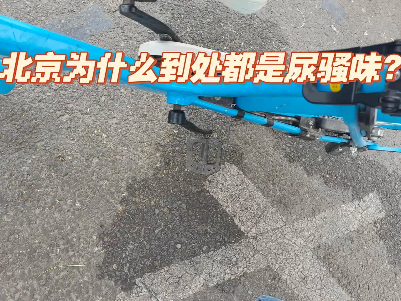 去了北京一趟，有几件事挺震撼的。

去北京之前，我对这座城市的想象，是长安街、国