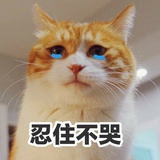 暖园园爱聊社会