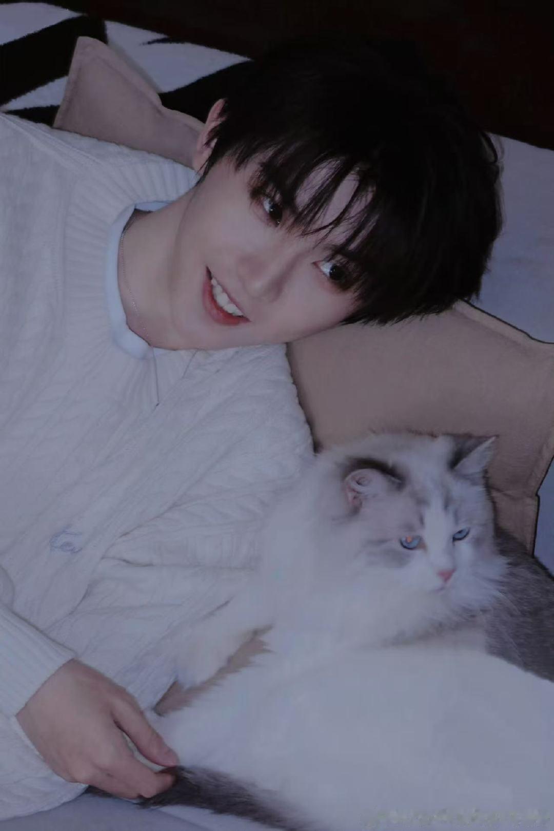 马嘉祺晒猫咪马嘉祺猫咪九宫格马嘉祺猫咪九宫格 