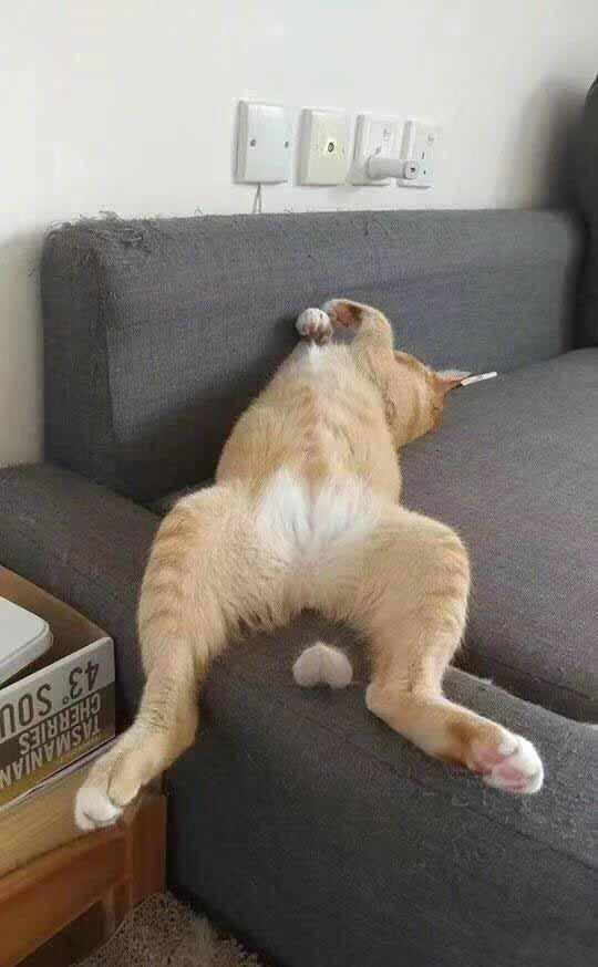 换蛋季到了，也不用怕。