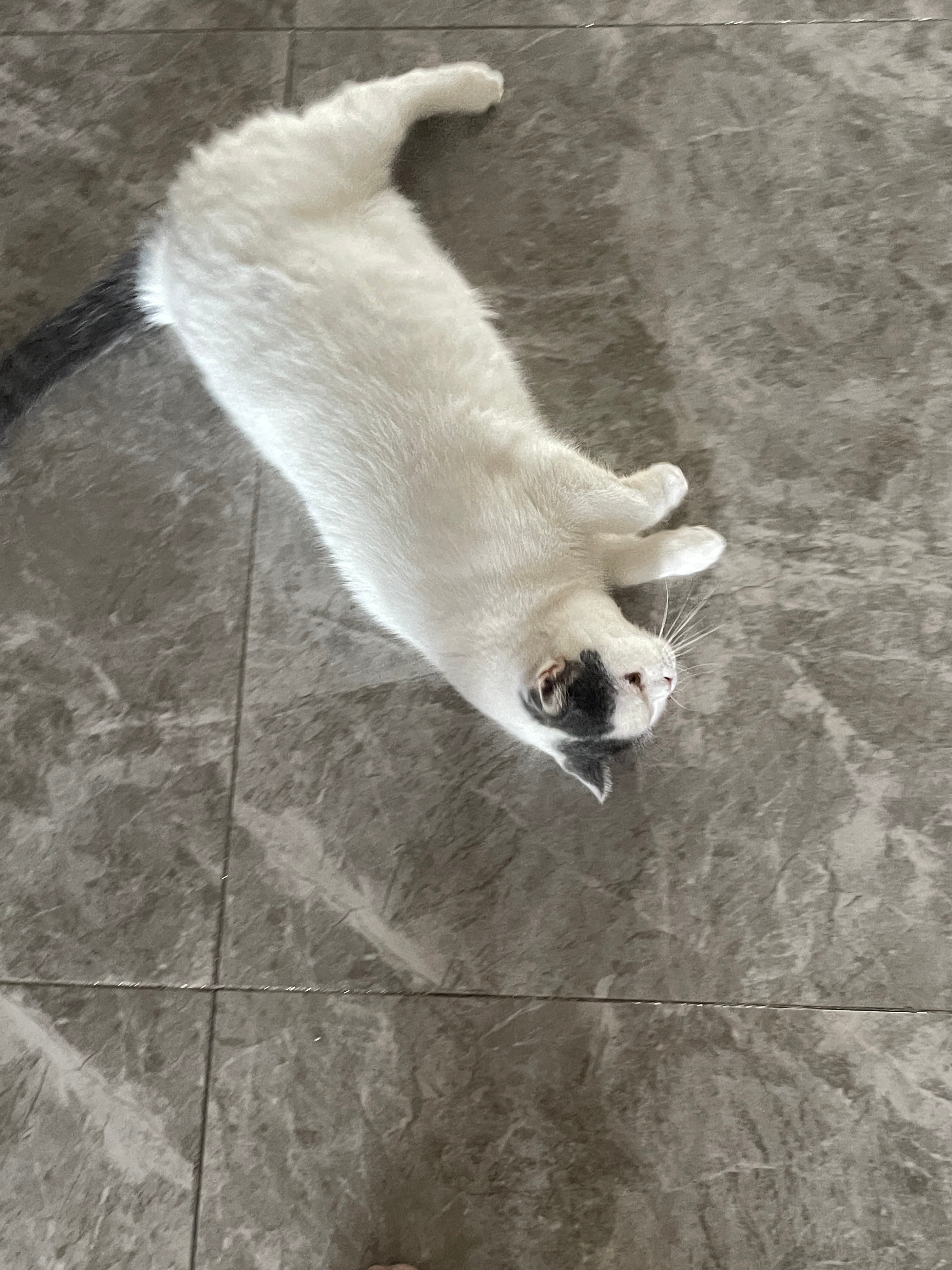 孩儿孩儿门都迎接妈妈 