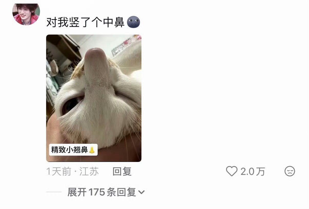 小猫以为自己没有丑照直到打开相册小猫翻看主人相册破防！原来我有这么多黑历史这一幕