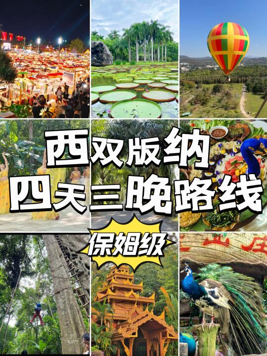 必看❗️西双版纳四天三晚不踩雷攻略