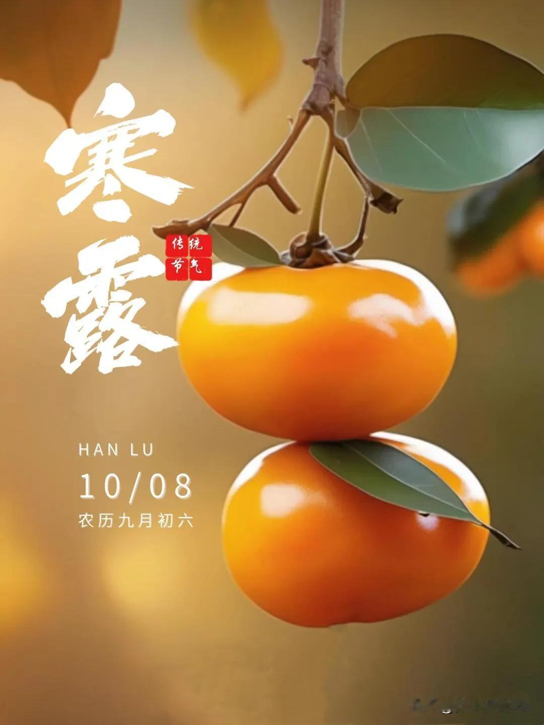 #秋日生活打卡季#
今天是10月8日星期二，寒露，早安，深秋已过寒露至，一份惦记