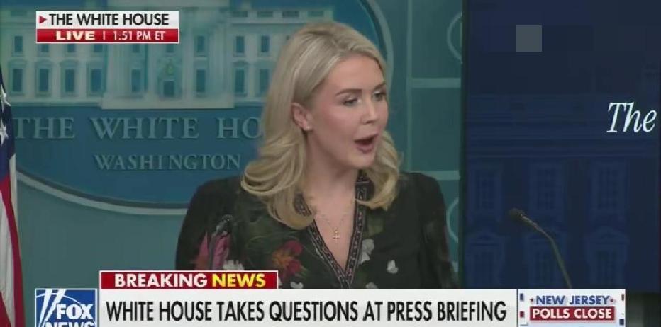 快讯！快讯！。
 
特朗普竞选团队发言人莱维特突然宣布了将核实一次MRI相关信息