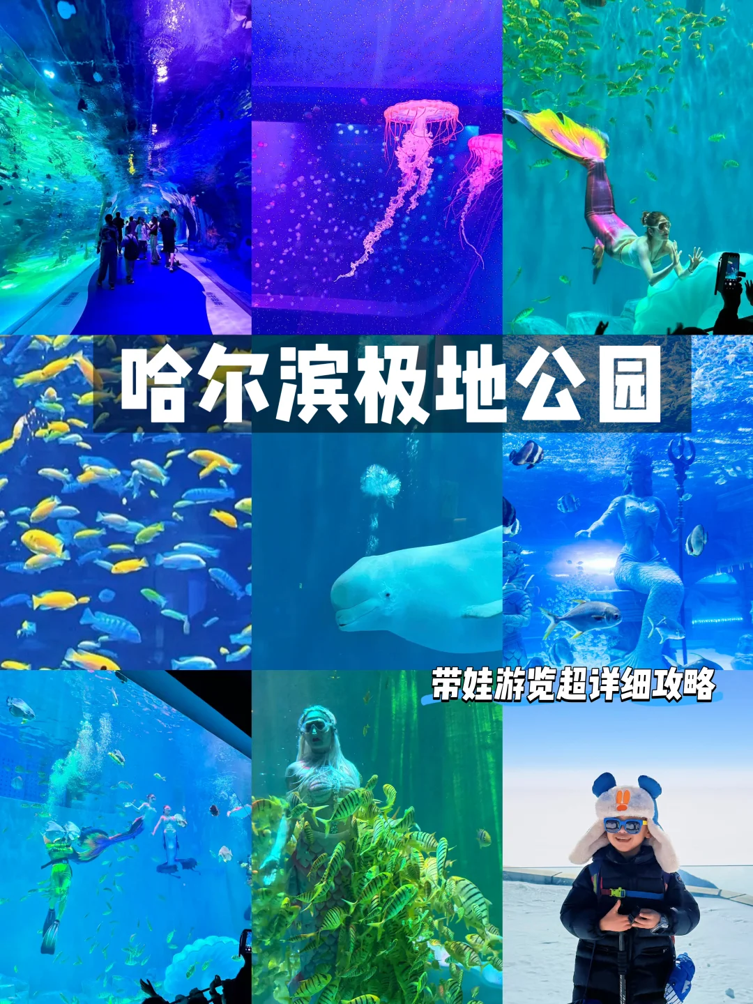 寒假春节冲尔滨‼️超详细极地公园一日游攻略