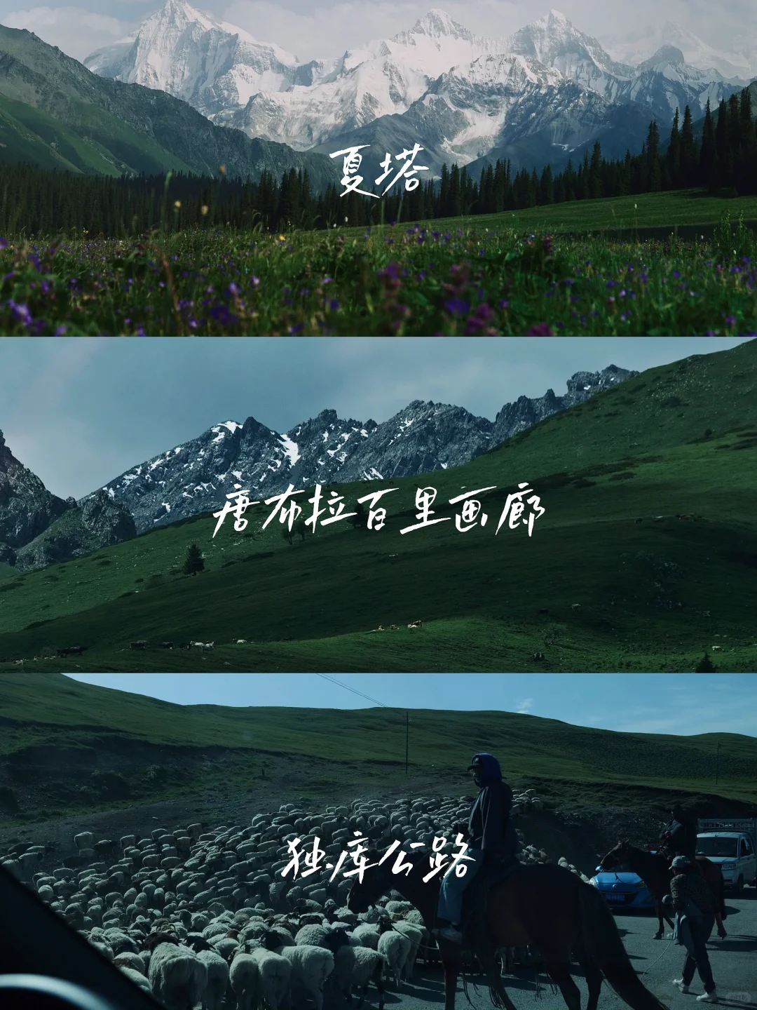 伊犁｜一个被上帝眷顾的地方～