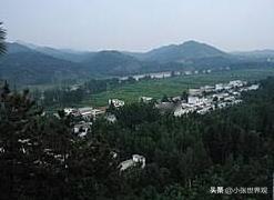 1996年7月21日深夜，杨灵芝以一种惨烈、血腥的方式结束了一个长期霸占她、凌辱