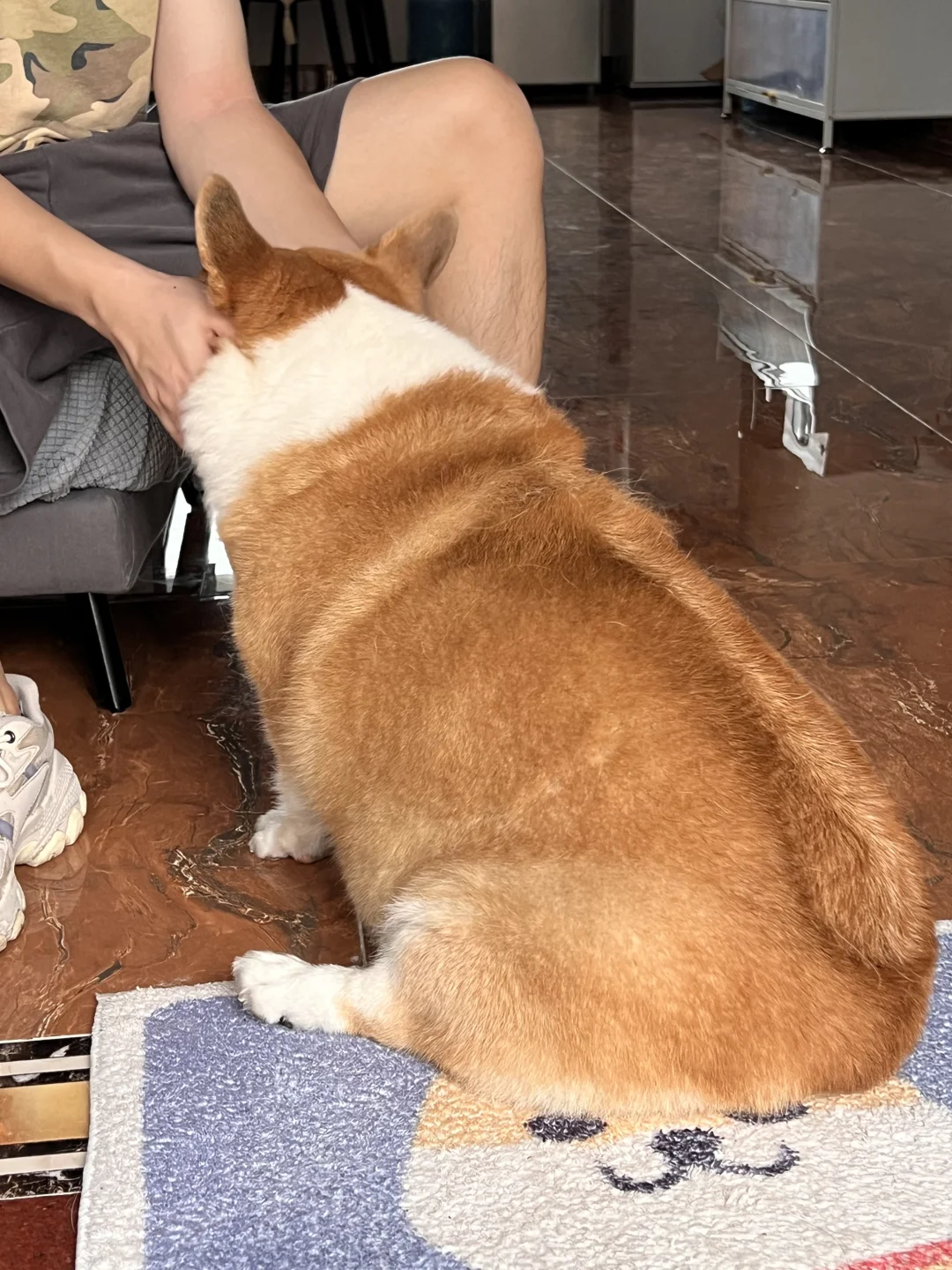 宝宝，你像一个大卡车