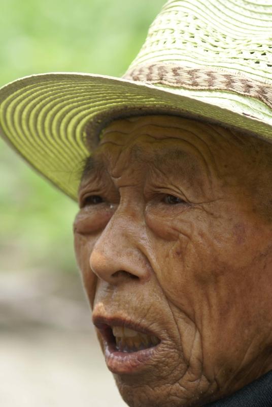 河南600年古村变"竖店"！人人当演员，驴一天挣500元，年轻人全回来了
 
家