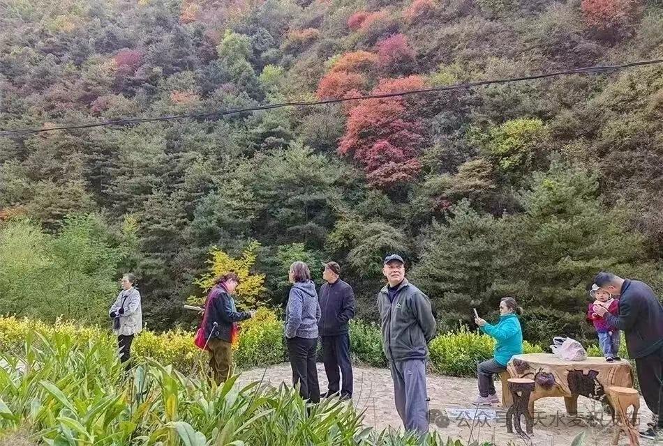 “三少一热”：今年国庆期间农村出现的新景象。

10月1日回农村老家，发现今年国