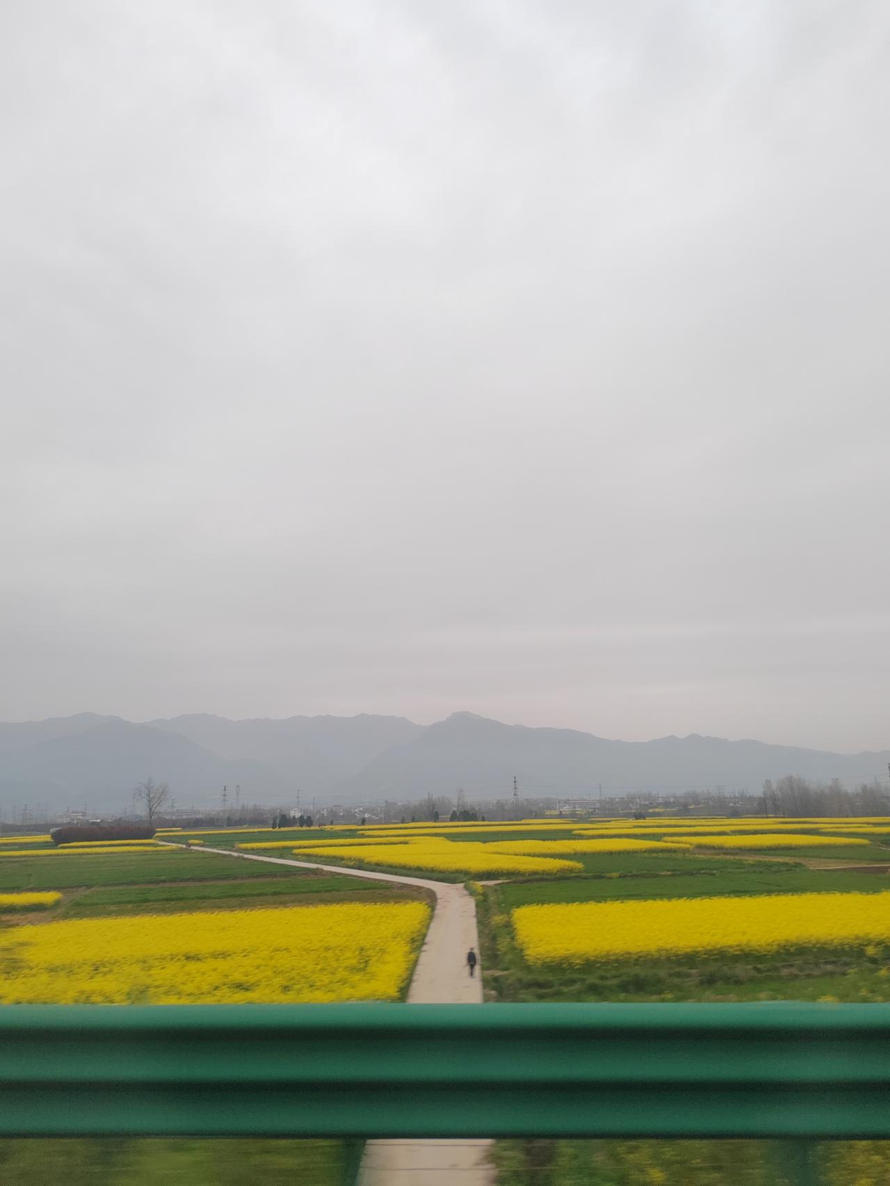 今天是24节气里面的谷雨，成都天气是阴天。

谷雨是一年中充满希望的日子，希望大