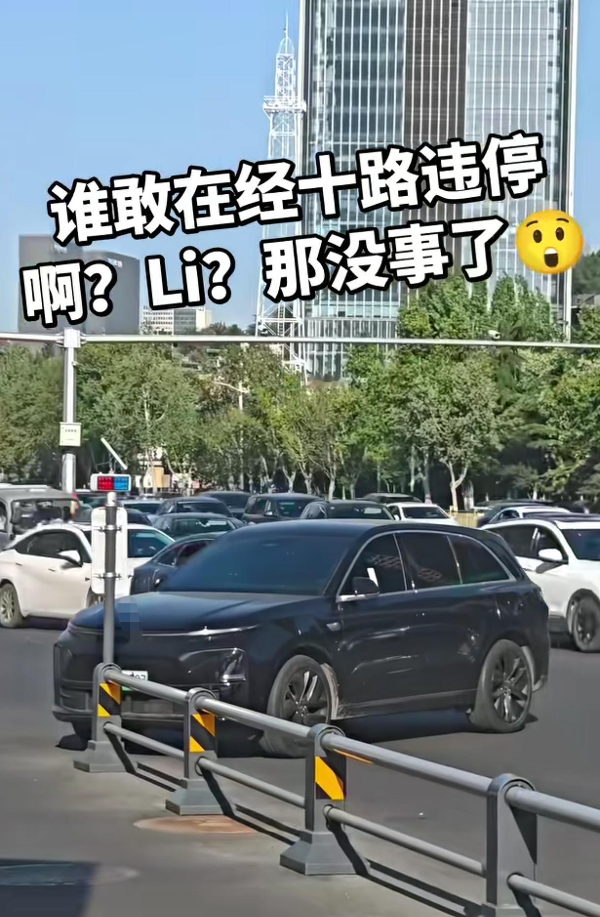 我车子大，我就得占两个车位，随便停；我底盘高，绿化带辅路直接怼，随便停；我有钱，