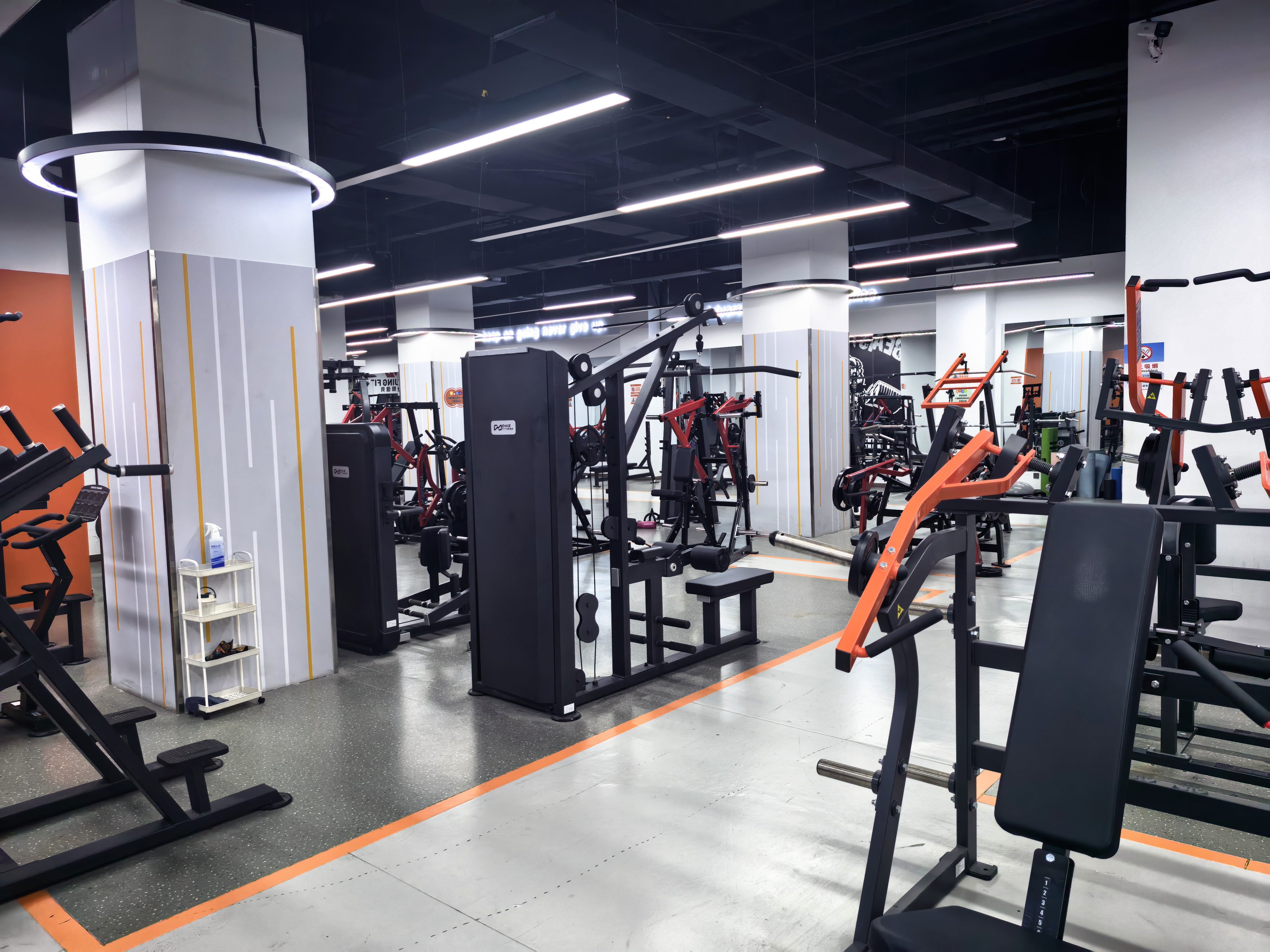 明天才清明节，今晚就没人来健身了吗，被迫包场了 