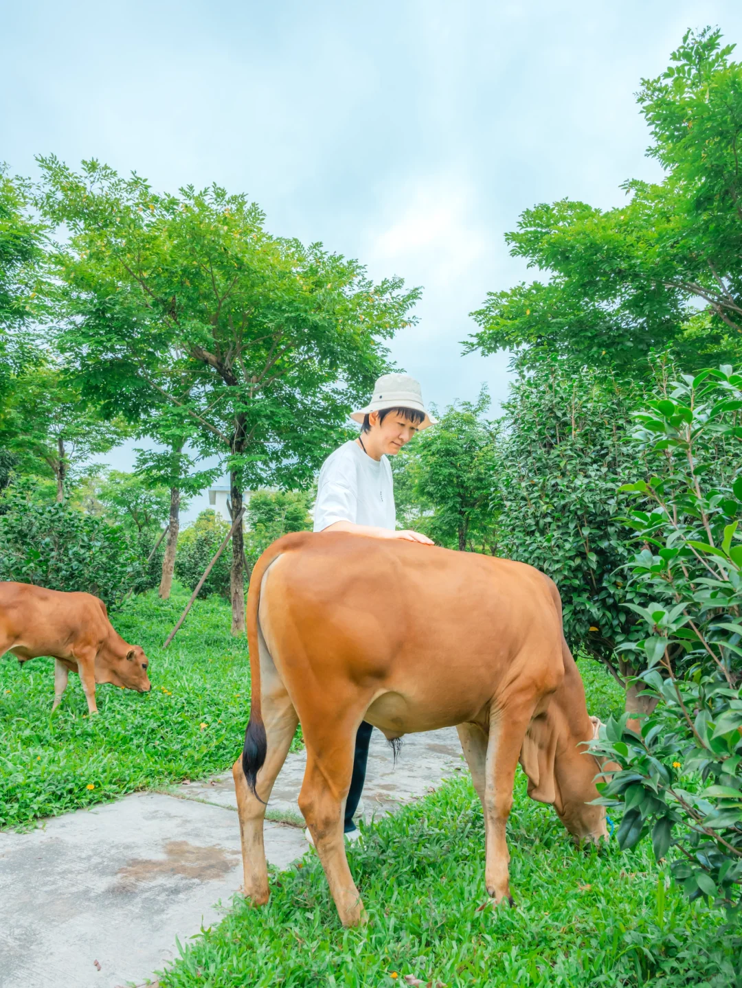 做一次精神村民｜广州人有属于自己的阿勒泰