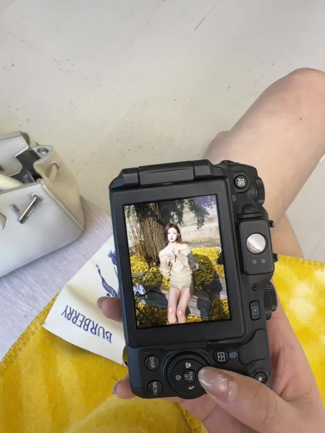银杏叶落了 我的意思是我想你了