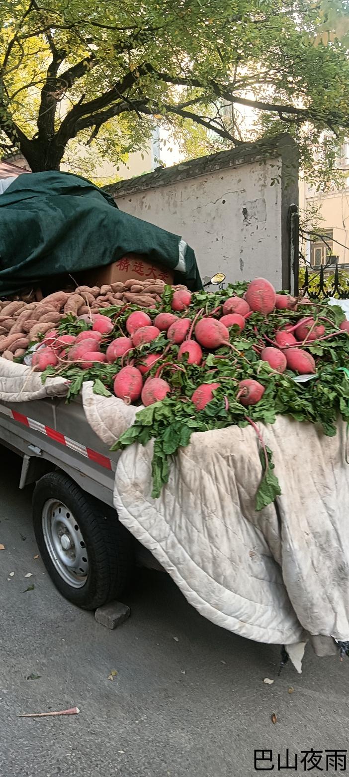 现在的菜贩都这么豪横？
刚下楼就被这堆红得晃眼的萝卜惊了——菜贩直接把小卡车怼在