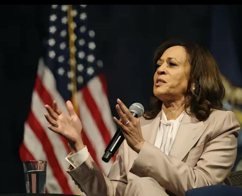 4月18日，哈里斯在美国底特律参加一场集会讲话时称：“特朗普政府是美国历史上最腐
