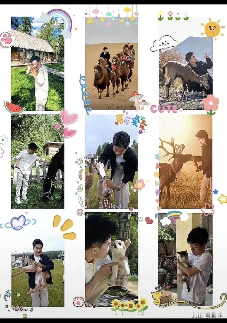 那些年，和董宇辉一起看过的小动物们。

   再帮董宇辉补充几个，怎么也不能把好