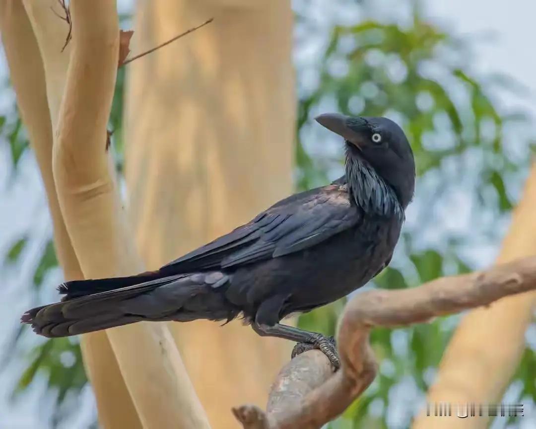 在职场中，不被尊重似乎成了一种常态，尤其是在这个“看脸、看关系、看背景”的社会生