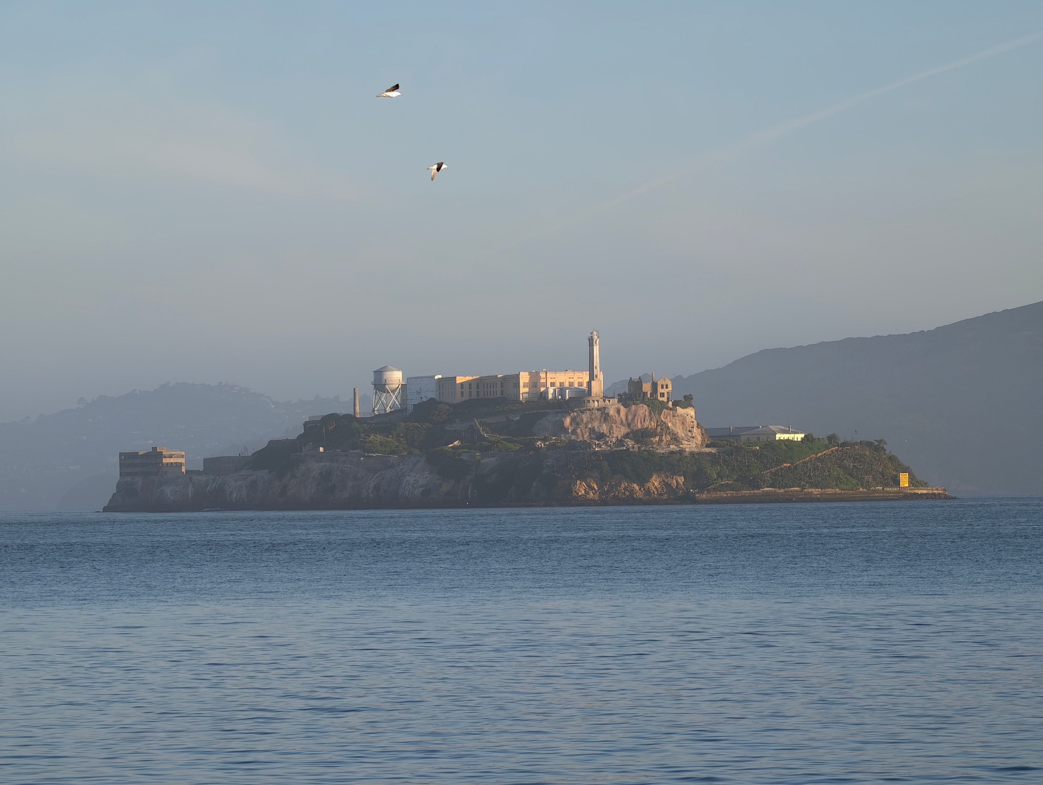 来看看海狮，就回国啦，还有好几个视频要发还看到了个ChatGPT的广告
