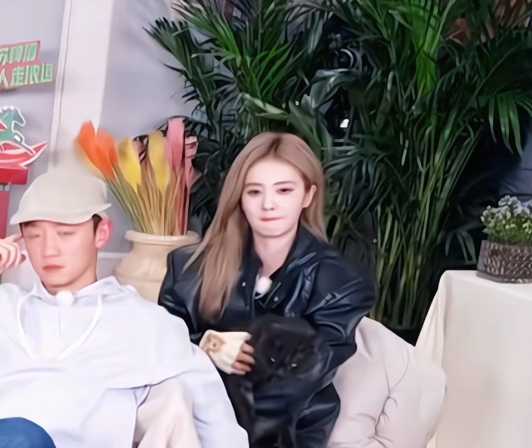 我没有看错吧，昨天奔跑吧白鹿是抱着一只黑猫吧！浙江卫视跨年晚会