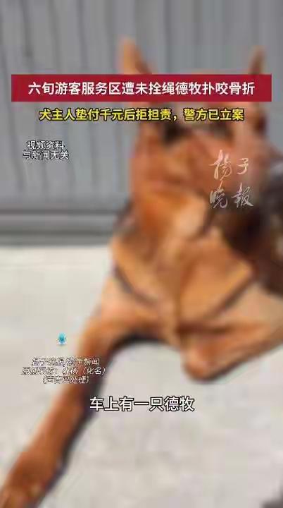 春节期间，山东籍女子一家到云南旅游，在服务区休息时，60多岁老母亲出去溜达，突然