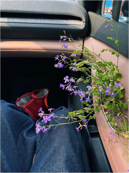 放假就喜欢一头扎进大自然🍃