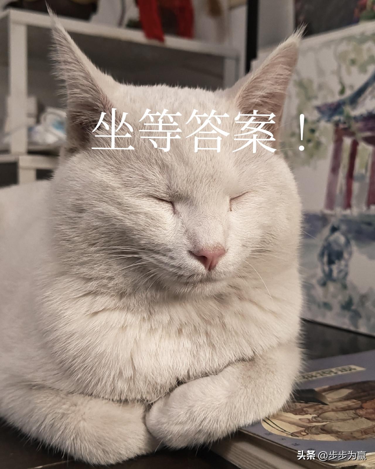 我就想知道0.9和0.11到底谁大？