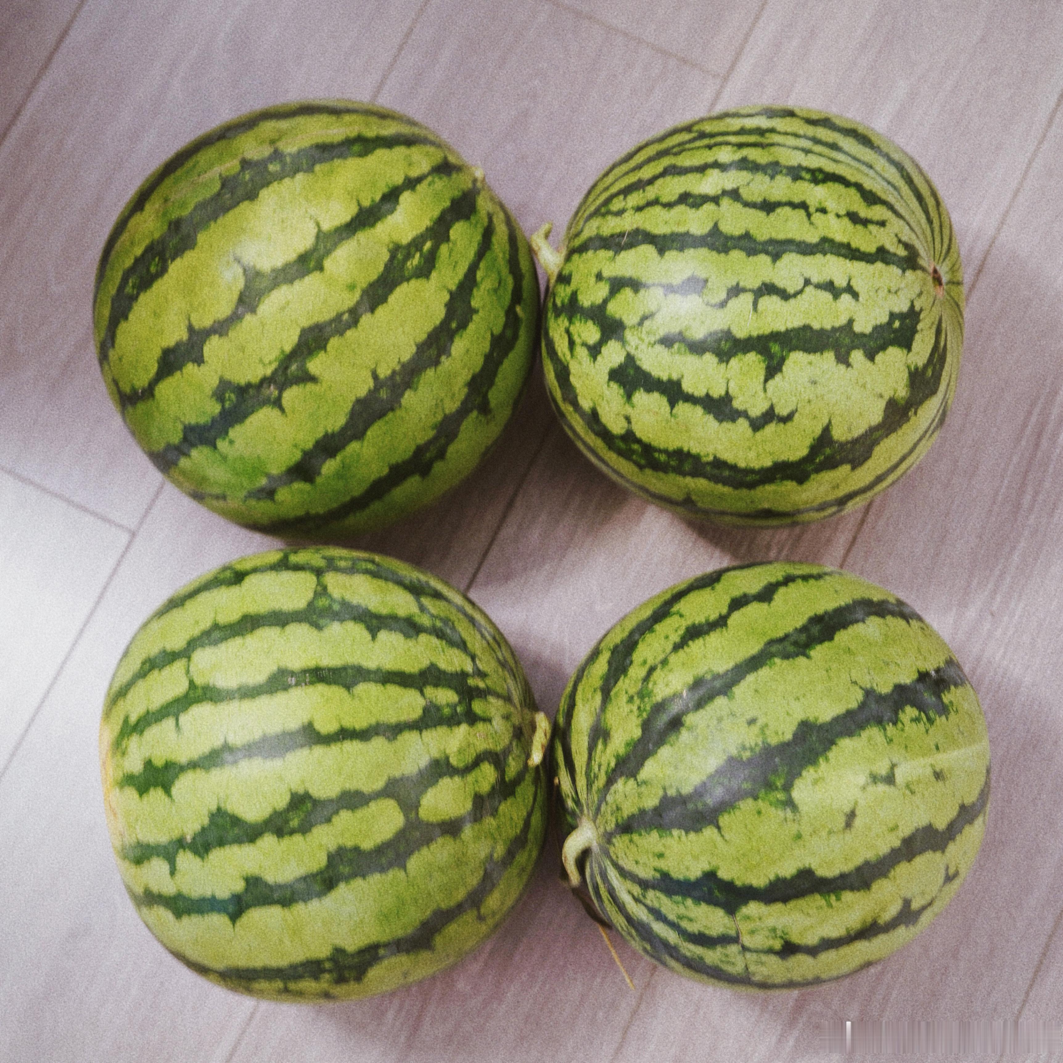 端午安康🍉 