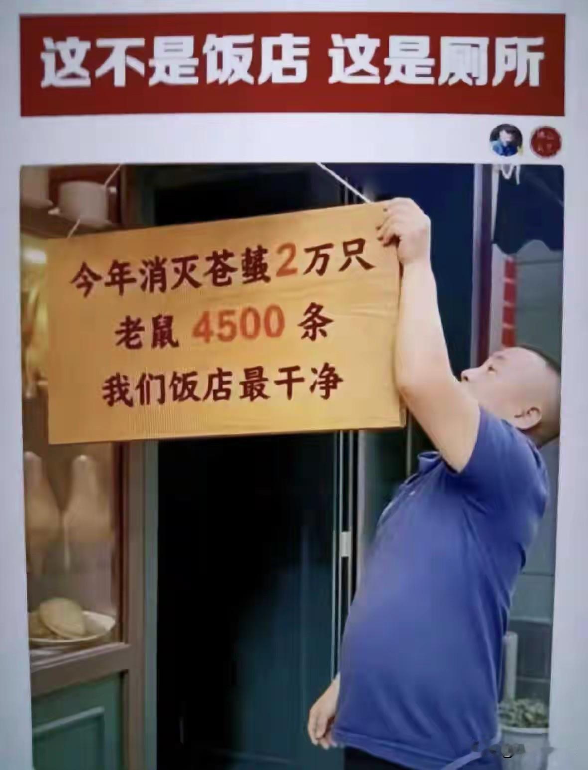 这算干净吗？
那么多老鼠还敢炫耀！