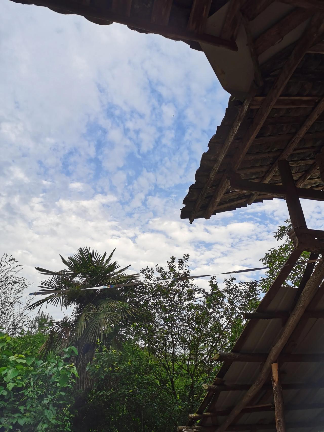 这件事，本来不打算说的。不过，实在憋不住了，简单跟大家说一下。
我拍了那么多视频