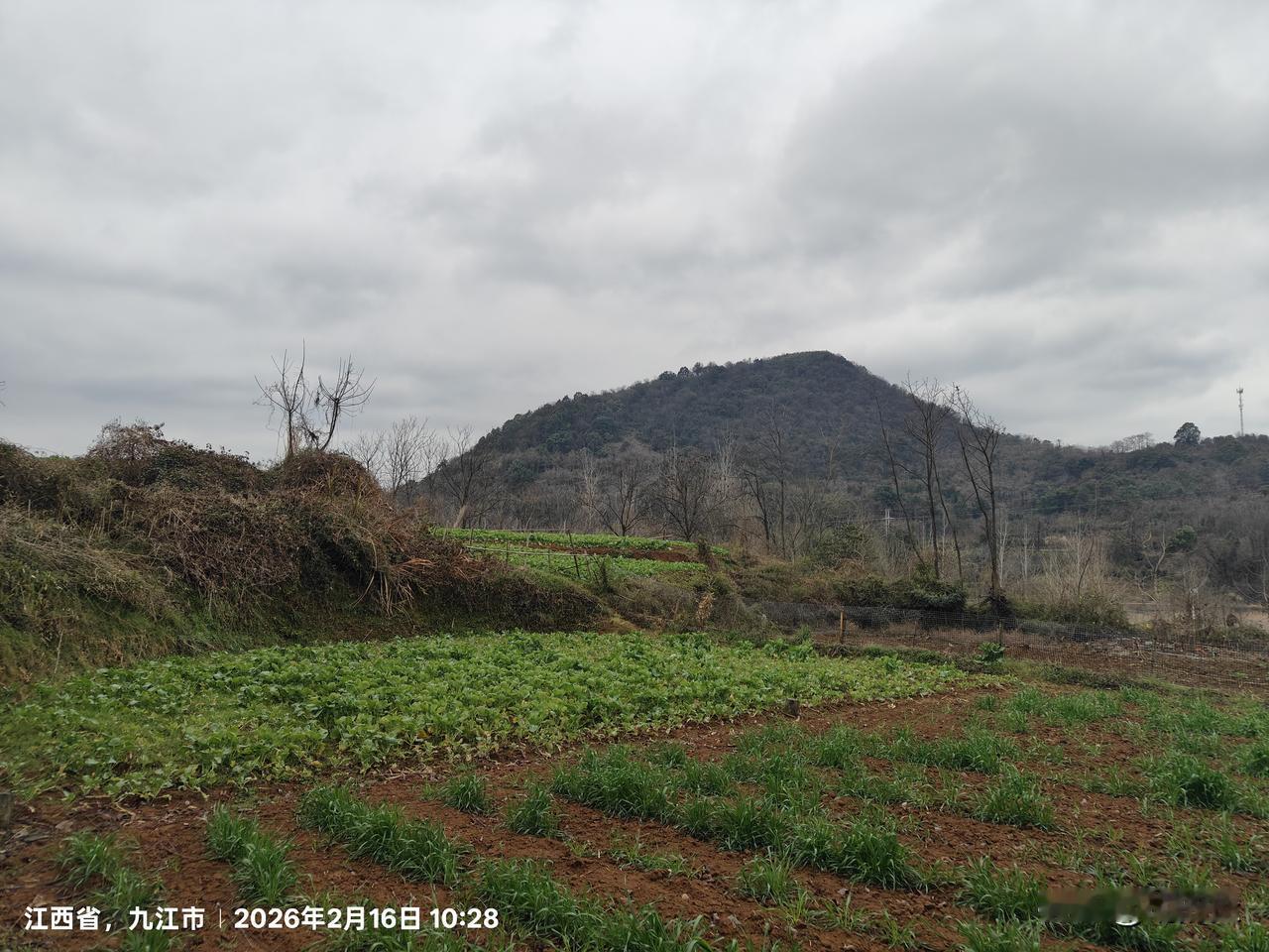 晒晒你镜头下的自然风光山脚下的菜地，看看是种的什么菜。