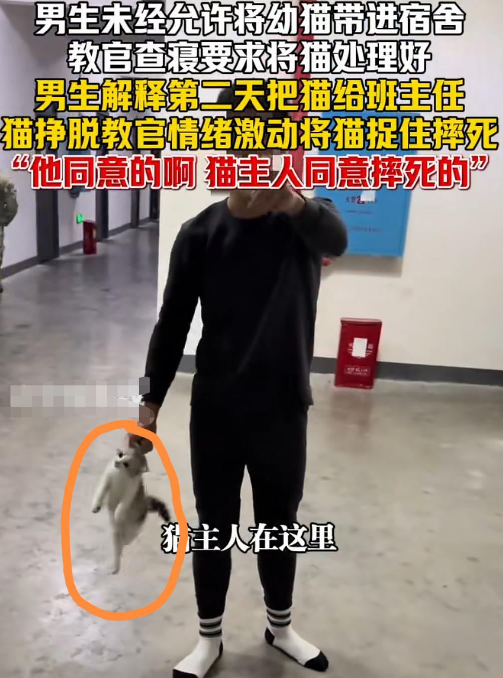 残忍！湖南又现暴力虐猫事件！
湖南邵阳某中学体育老师，乱脚踩死一只橘猫这事才过去