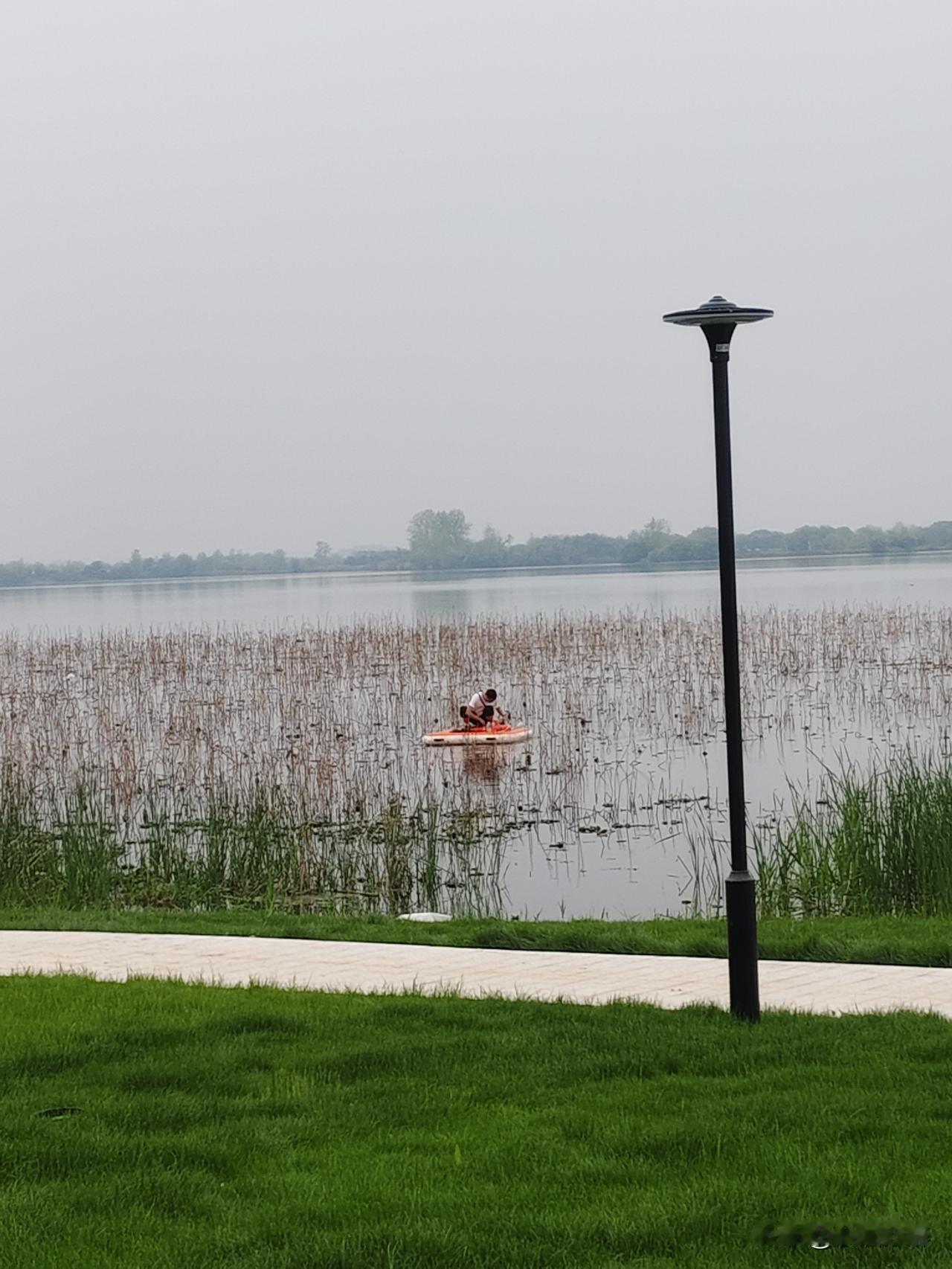 这个帅哥划个简易橡皮艇，准确来说只是一个平台子，在枯黄的荷叶中穿梭。
他在干嘛呢