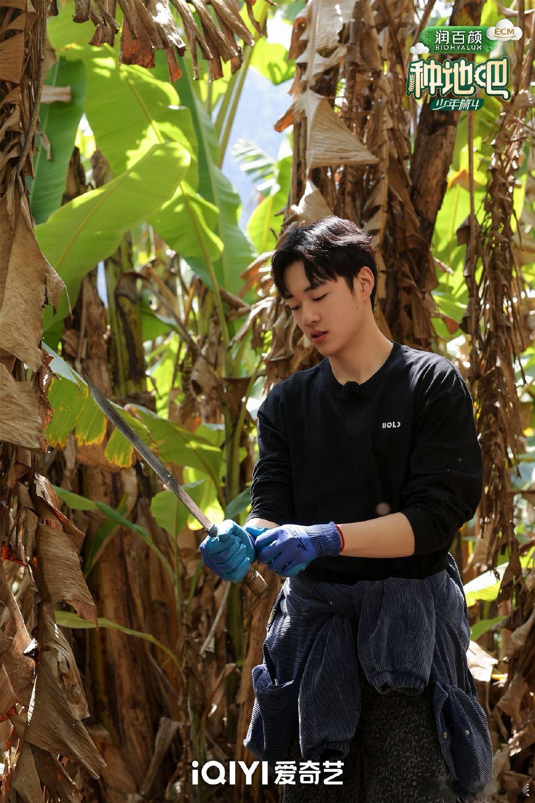 种地吧第四季开播 种地吧进藏访蕉林 这季第一站就这么有料！进藏感受高原魅力，钻进