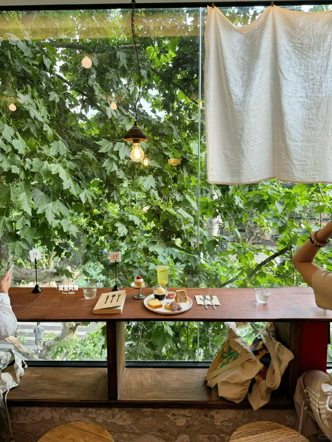 🌳我为了这个窗景！！来了一次上海！！！