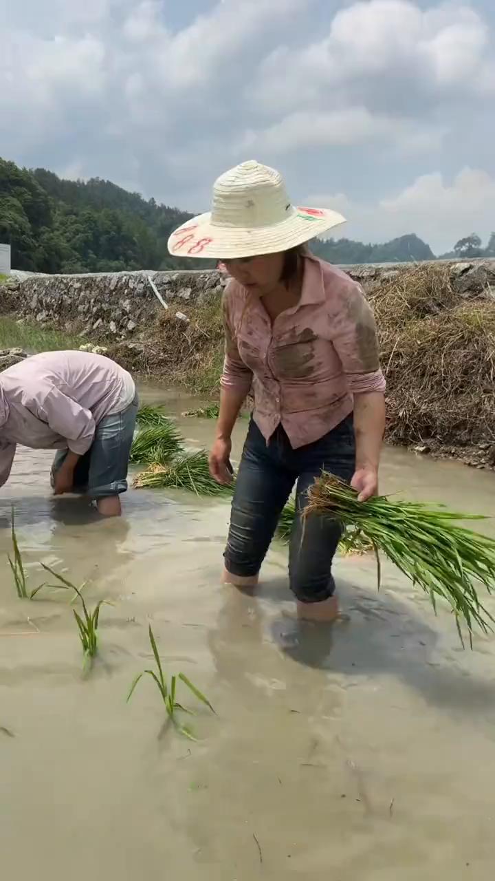 田园是真的有蚂蝗😂。